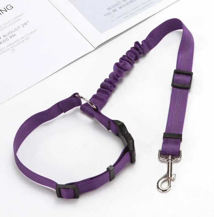 (🔥2023 HOT SALE ) - Adjustable Car Dog Leash(BUY 3 Free Shipping)