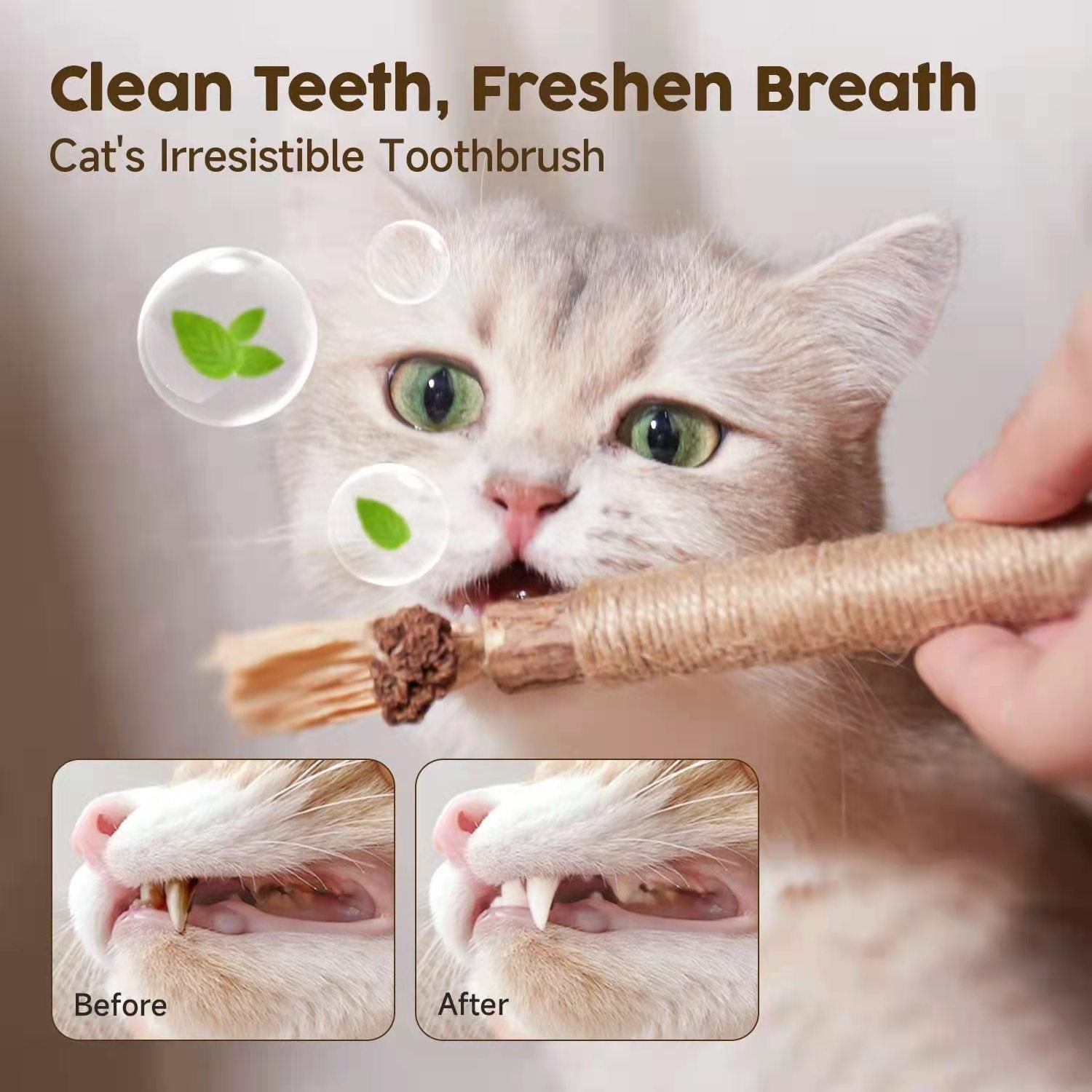 (🔥BIG SALE)Natural Silvervine Stick Cat Chew Toy--buy 5 get 5 free & free shipping(10pcs)