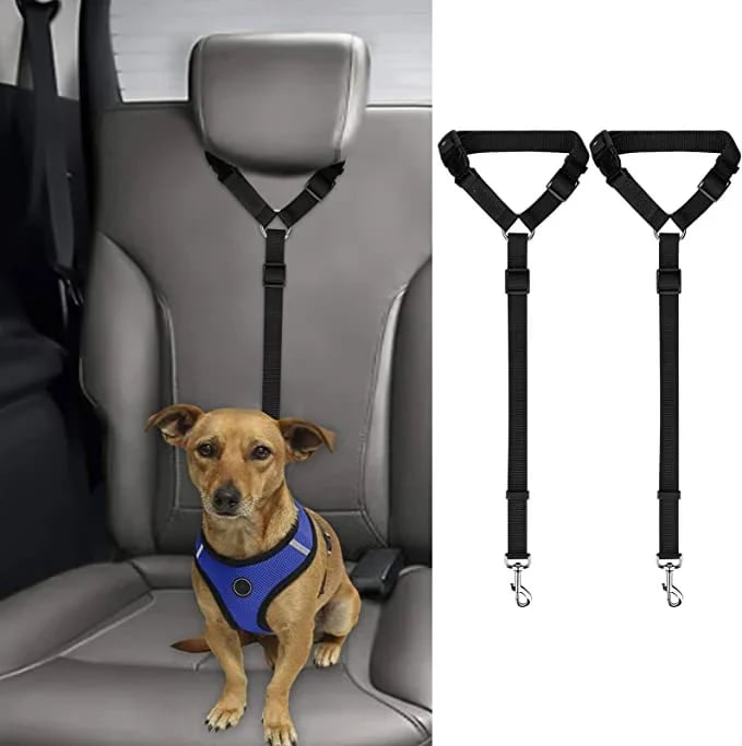 (🔥2023 HOT SALE ) - Adjustable Car Dog Leash(BUY 3 Free Shipping)