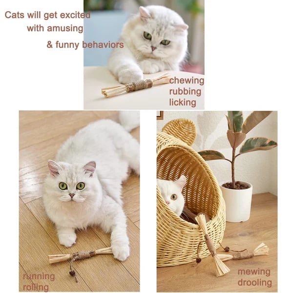 (🔥BIG SALE)Natural Silvervine Stick Cat Chew Toy--buy 5 get 5 free & free shipping(10pcs)