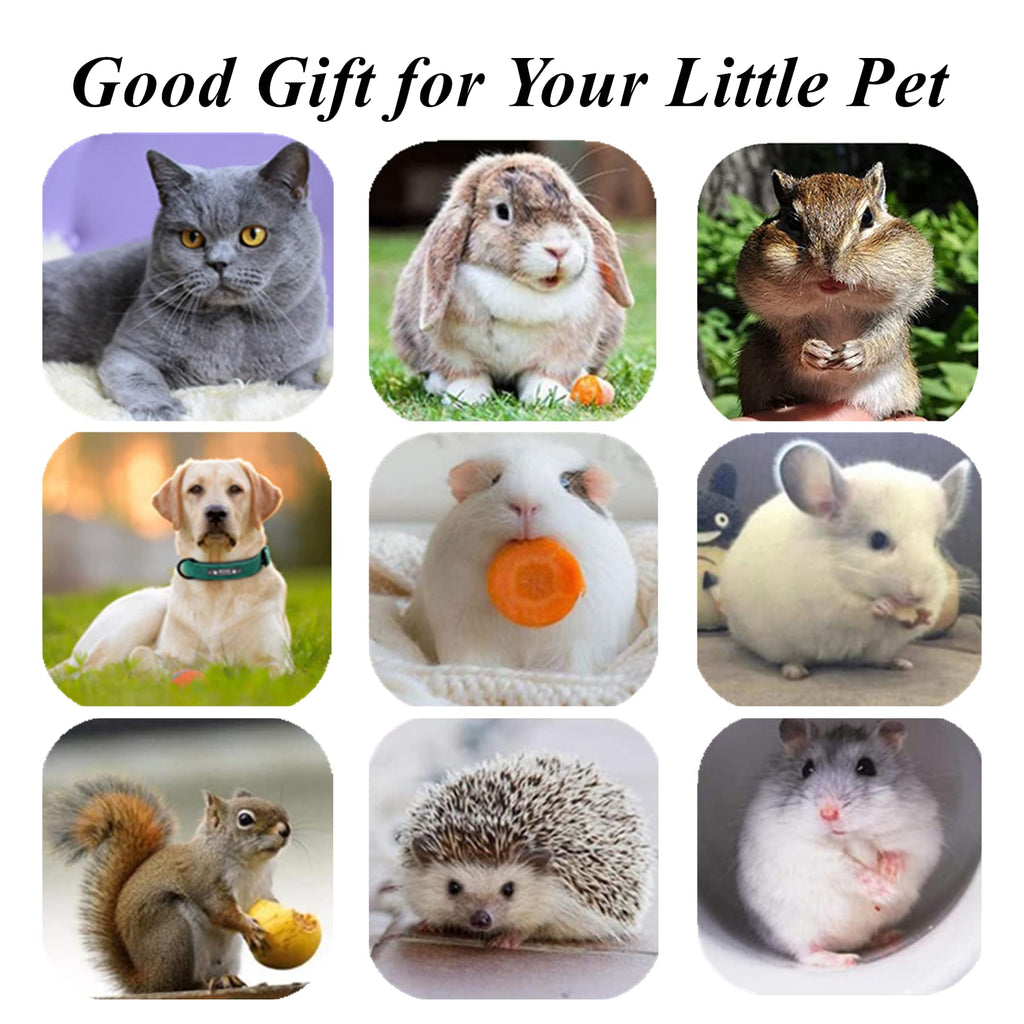 (🔥BIG SALE)Natural Silvervine Stick Cat Chew Toy--buy 5 get 5 free & free shipping(10pcs)